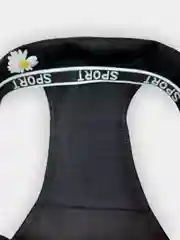 Черный трусы женские спортивные