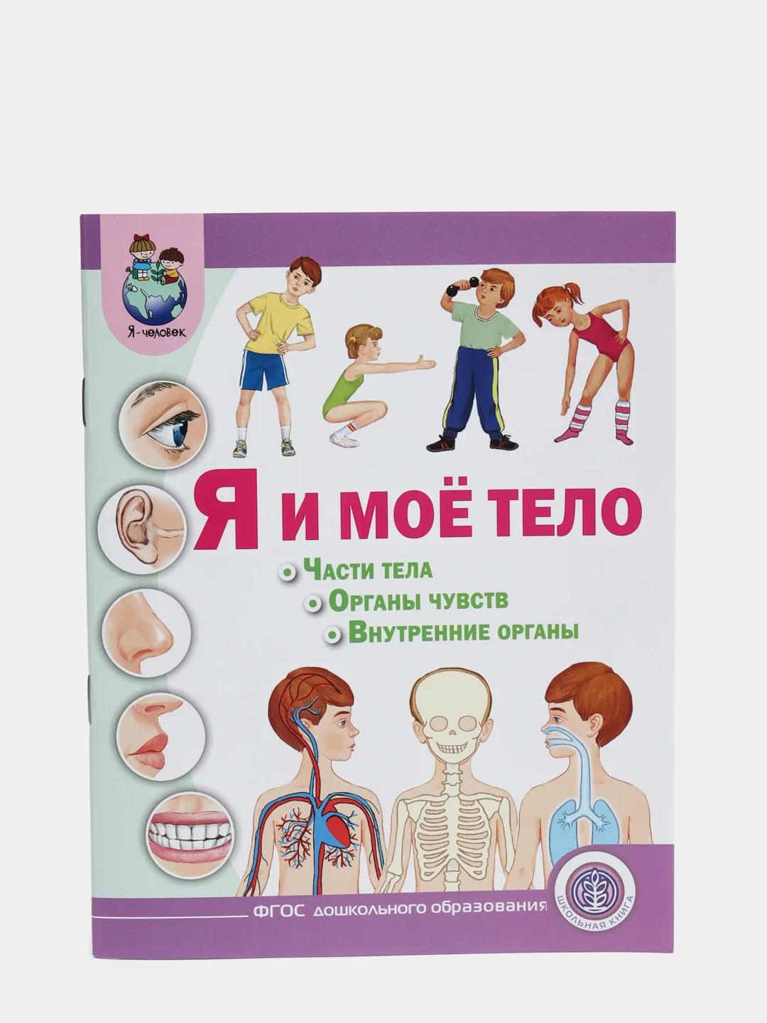 Я и моё тело: Части тела. Органы чувств. Внутренние органы. Дидактический материал
