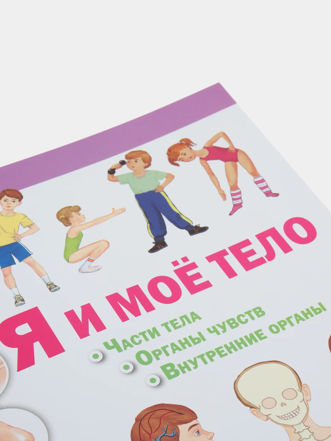 Я и моё тело: Части тела. Органы чувств. Внутренние органы. Дидактический материал