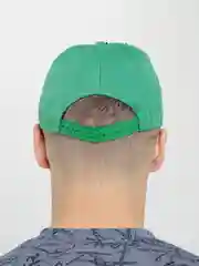 Зеленый буйсболка, два цвета
