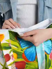 Ледяной хозяйственные сумки
