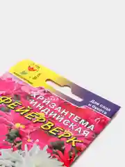 Семена Хризантема индийская  Фейерверк  набор 1, 3, 5 уп