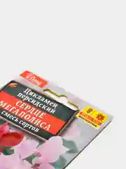 Семена Цикламен персидский "Сердце мегаполиса" смесь сортов набор 1, 3, 5 уп
