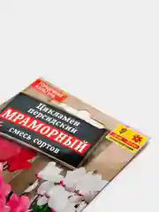 Семена Цикламен персидский "Мраморный" смесь сортов набор 1, 3, 5 уп