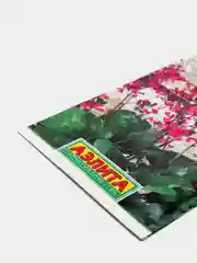 Семена Гейхера "Колокольчики" набор 1, 3, 5 уп