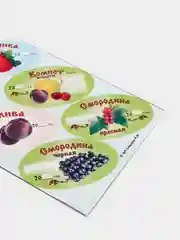 Набор наклеек 30 шт. для домашних заготовок из ягод и фруктов