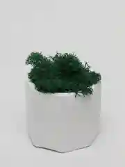 Кашпо, 2 шт