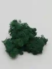 Кашпо, 2 шт