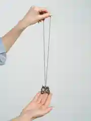 Цепочка с подвеской "Совы"