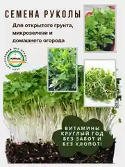 Семена зелени и микрозелень : рукола, горох, кресс-салат, капуста, пшеница, горчица, кинза