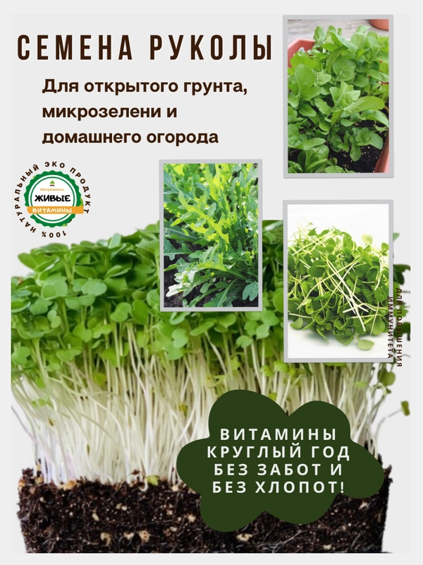 Семена зелени и микрозелень : рукола, горох, кресс-салат, капуста, пшеница, горчица, кинза