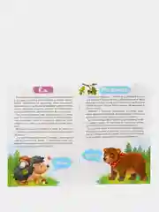 Книги для детей обучающие