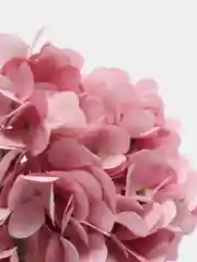 Розовый гортензия искусственные цветы