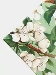 Лайм подарочные коробки
