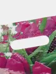 Зеленый пакеты подарочные полиэтиленовые