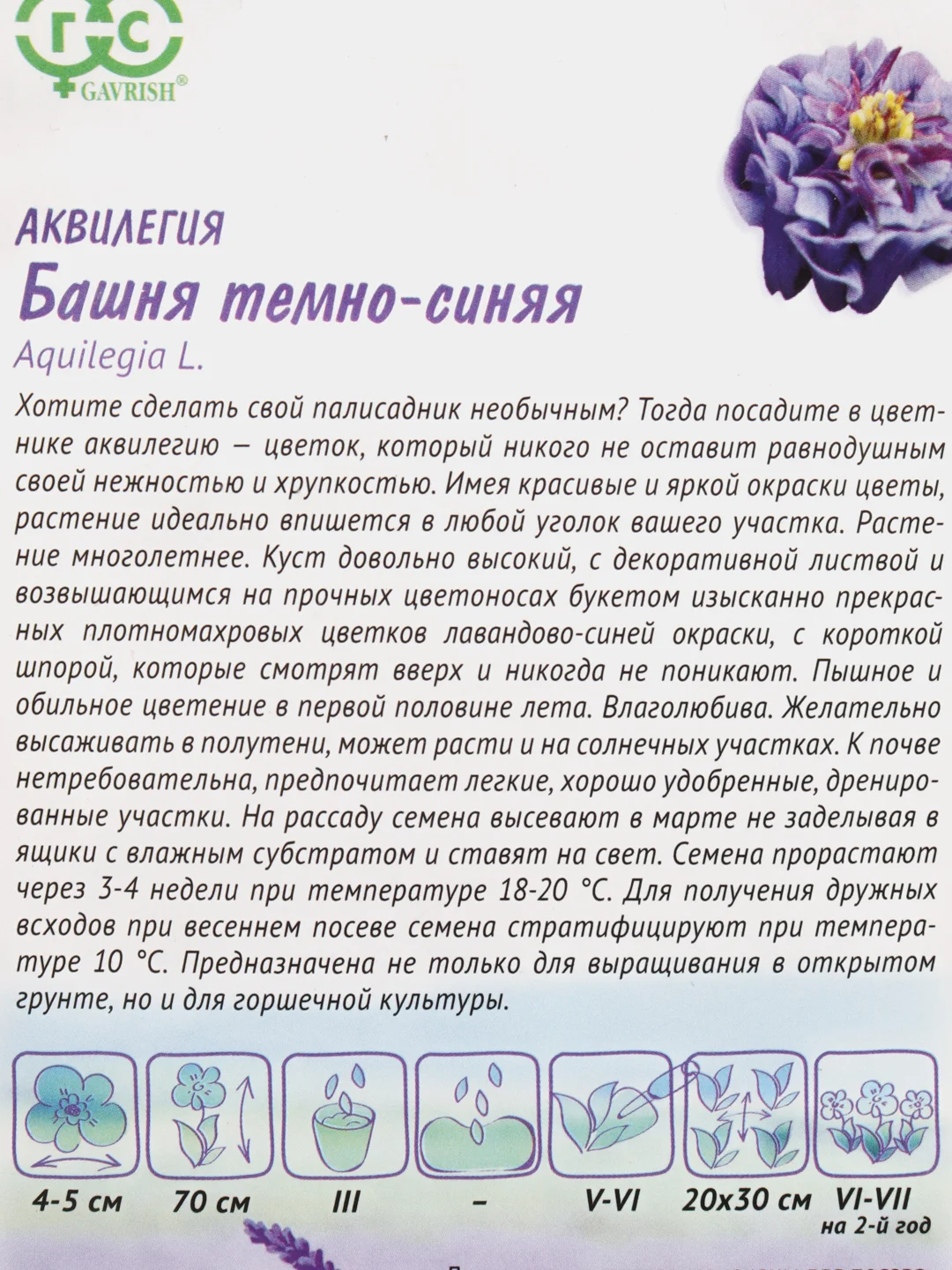Аквилегия "Башня" темно-синяя (семена, цветы)
