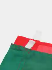 Флаг Республики Татарстан