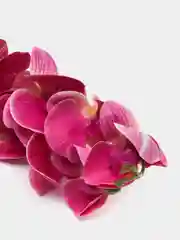 Искусственная Орхидея Фаленопсис фуксия
