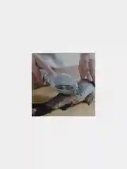 Серый рыбочистка  с контейнером для чешуи