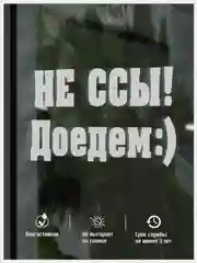 Наклейка на авто виниловая НЕ ССЫ - ДОЕДЕМ