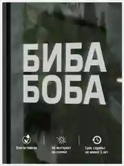Наклейка на авто виниловая парная БИБА и БОБА