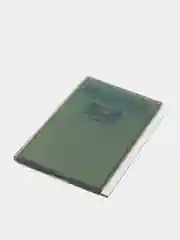 LCD дисплей для брелка сигнализации на Starline E93, E90, A93 вертикальный на шлейфе