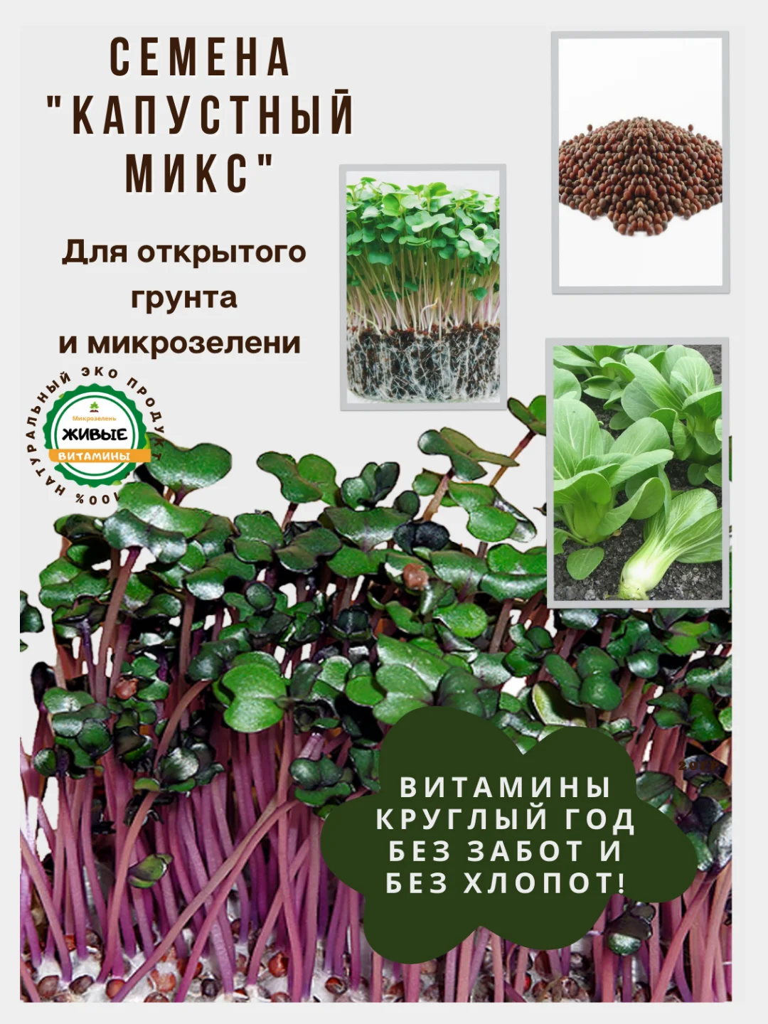 Семена зелени и микрозелень : рукола, горох, кресс-салат, капуста, пшеница, горчица, кинза