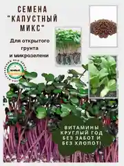 Семена зелени и микрозелень : рукола, горох, кресс-салат, капуста, пшеница, горчица, кинза
