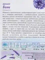 Василек "Волна" (семена, цветы)
