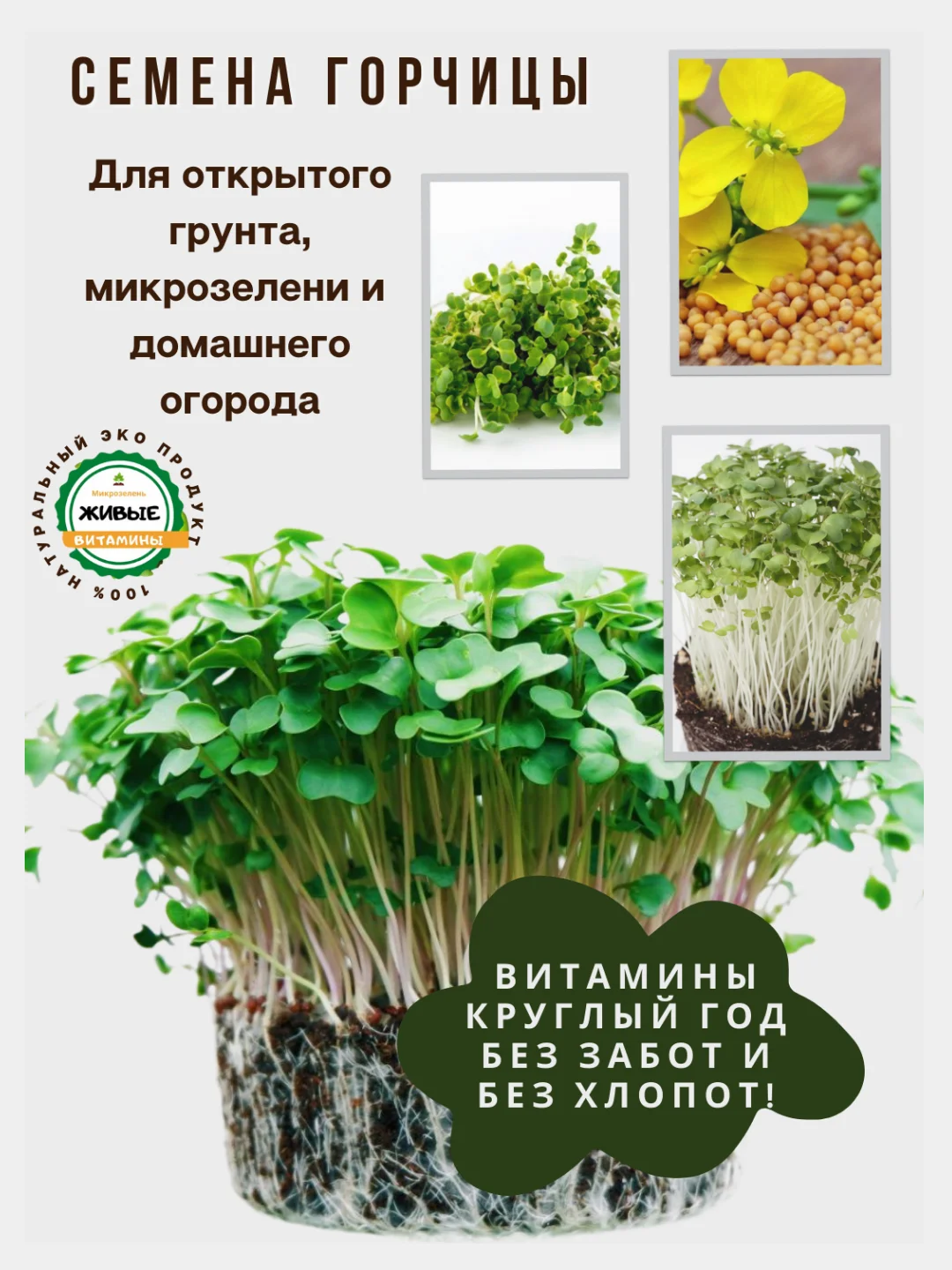 Семена зелени и микрозелень : рукола, горох, кресс-салат, капуста, пшеница, горчица, кинза