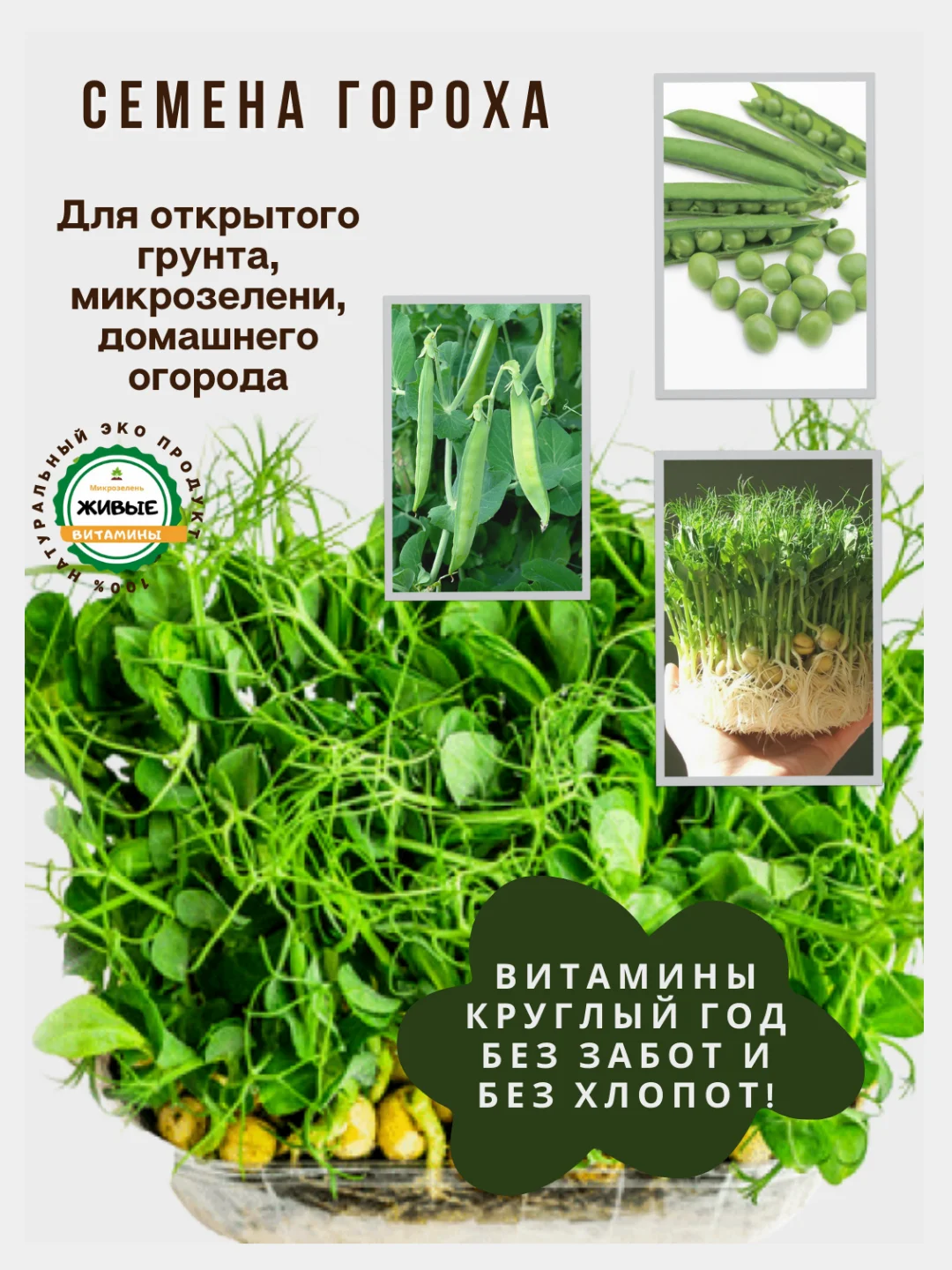 Семена зелени и микрозелень : рукола, горох, кресс-салат, капуста, пшеница, горчица, кинза