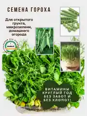 Семена зелени и микрозелень : рукола, горох, кресс-салат, капуста, пшеница, горчица, кинза