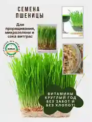 Семена зелени и микрозелень : рукола, горох, кресс-салат, капуста, пшеница, горчица, кинза