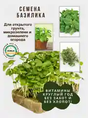 Семена зелени и микрозелень : рукола, горох, кресс-салат, капуста, пшеница, горчица, кинза