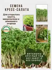 Семена зелени и микрозелень : рукола, горох, кресс-салат, капуста, пшеница, горчица, кинза