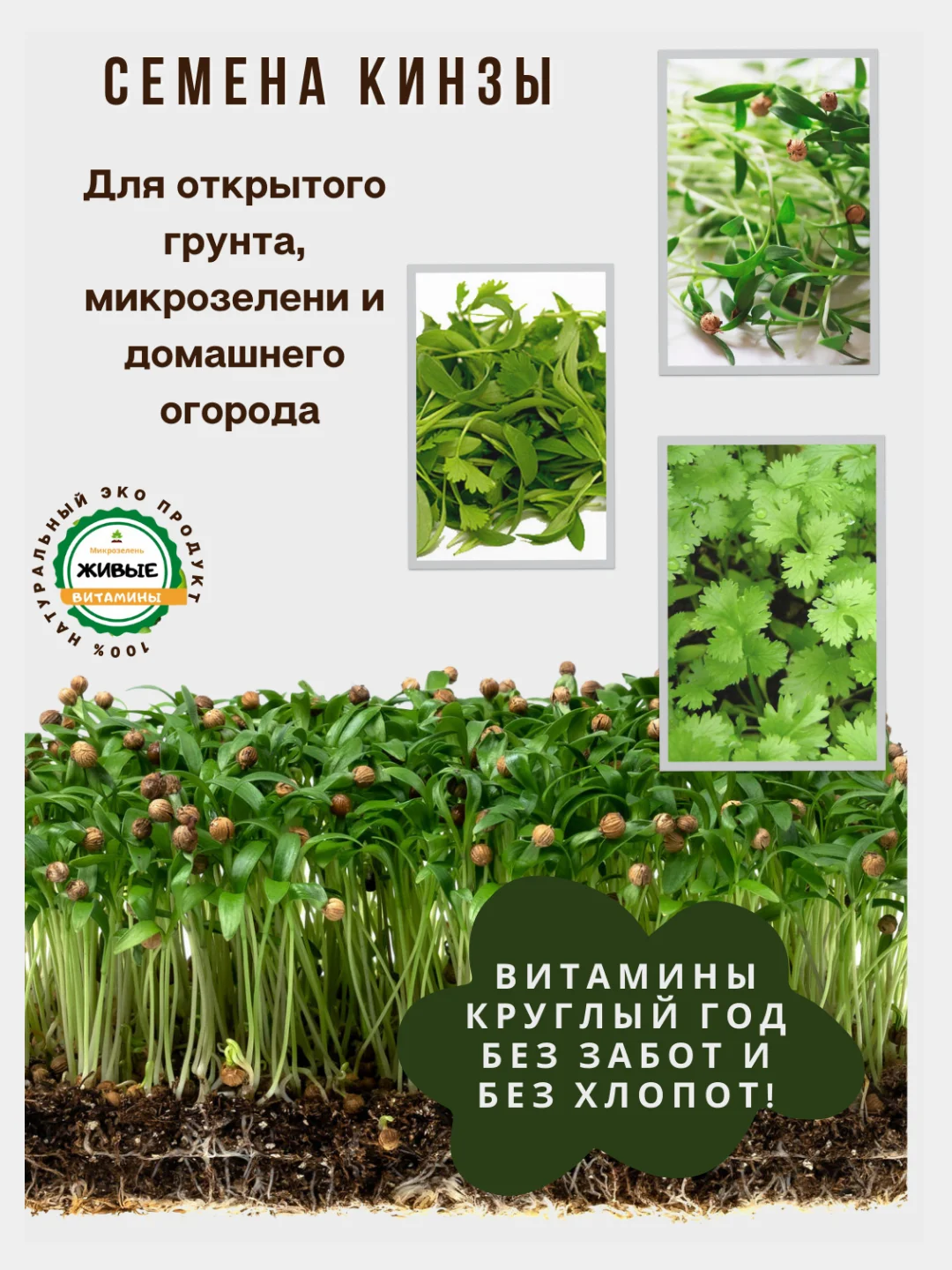 Семена зелени и микрозелень : рукола, горох, кресс-салат, капуста, пшеница, горчица, кинза