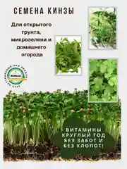 Семена зелени и микрозелень : рукола, горох, кресс-салат, капуста, пшеница, горчица, кинза
