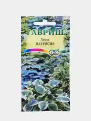 Семена Хоста "Патрисия", Гавриш