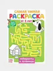 Лайм раскраски для детей "Весёлые задания" от 5 лет, развитие, игры, подготовка к школе