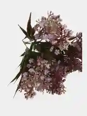 Конфетный цветы искусственные