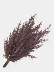 Коричневый цветы искусственные