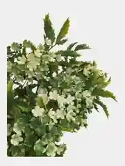 Зеленый цветы искусственные