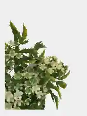 Зеленый цветы искусственные