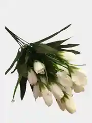 Белый цветы искусственные
