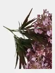 Белый цветы искусственные