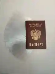 Обложка-чехол для страниц паспорта, 10 штук