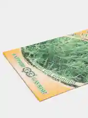 Семена Розмарин лекарственный "Бирюса", 0,05г