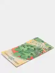 Семена Индау (Рукола культурная) "Итальянская", 1,0г
