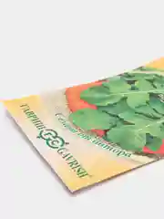 Семена Индау (Рукола культурная) "Итальянская", 1,0г