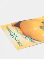Семена Томат желтый (помидор) "Желтый великан", 0,1г